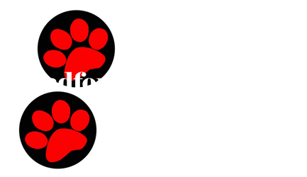 Bradford Dog Walking